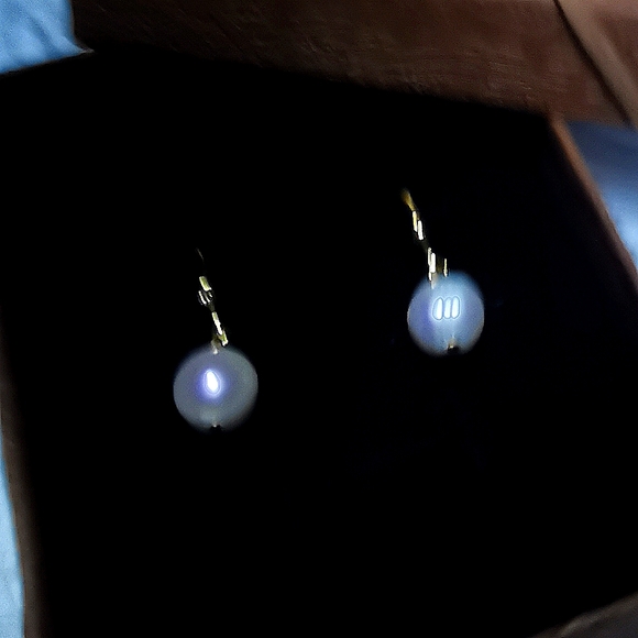 Clasp Earrings🐍 - Picture 3 of 9